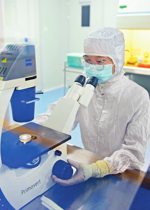 瞭望 治國理政紀事 協同發展彰顯新擔當